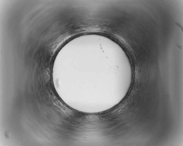 X0000102031212200808151332