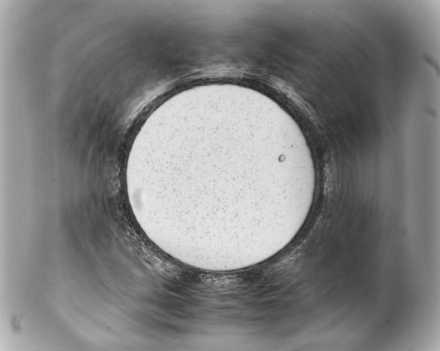 X0000102031213200808151332