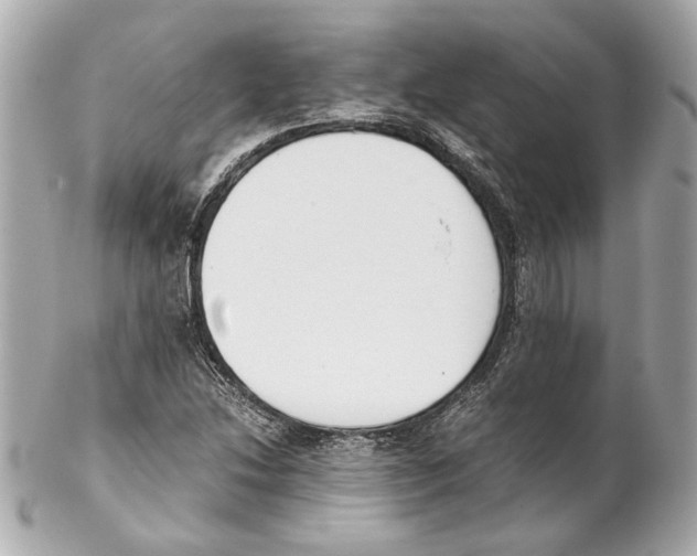 X0000102031214200808151332