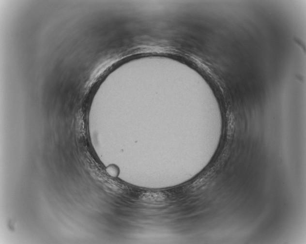 X0000102031215200808151332