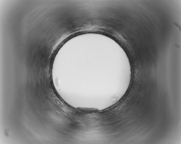 X0000102031216200808151332