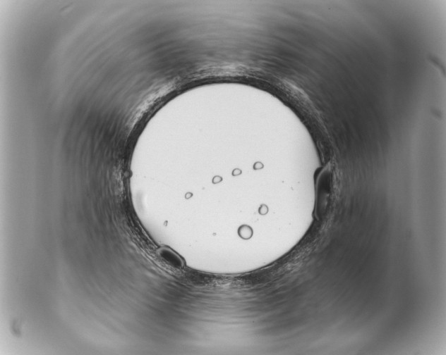 X0000102031218200808151332