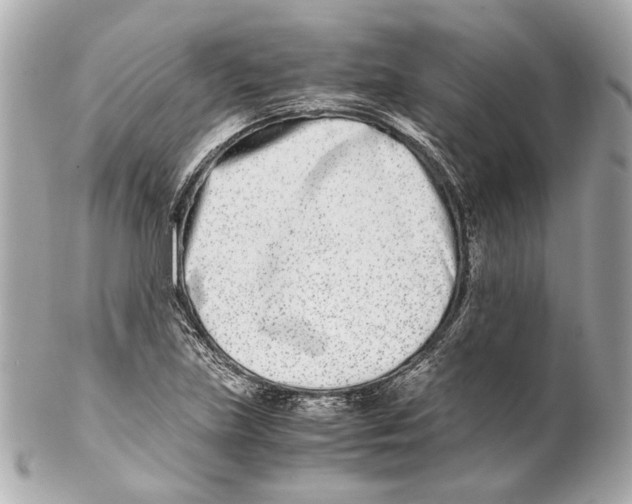 X0000102031219200808151332