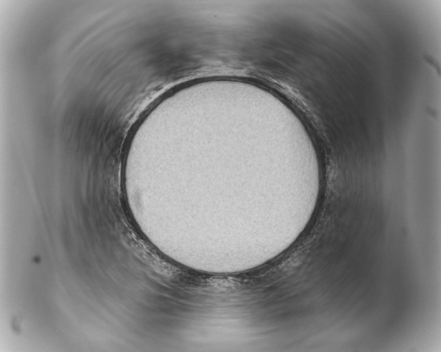 X0000102031220200808151332