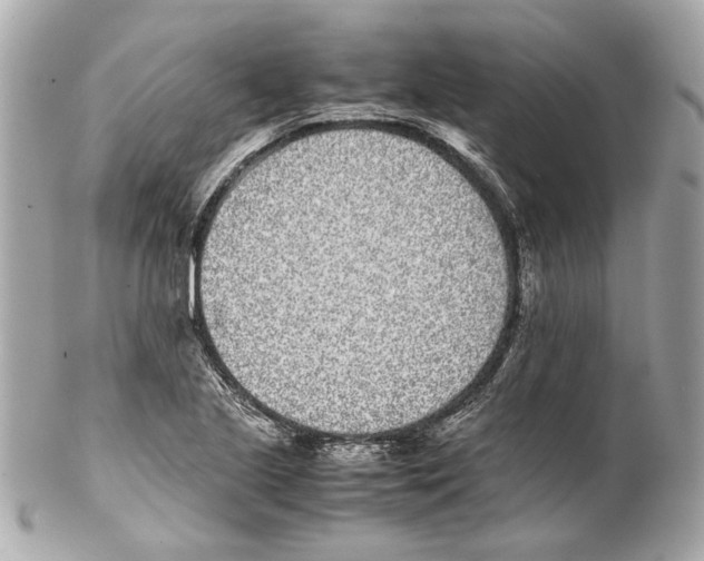 X0000102031221200808151332