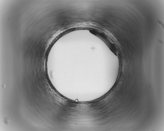 X0000102031224200808151332