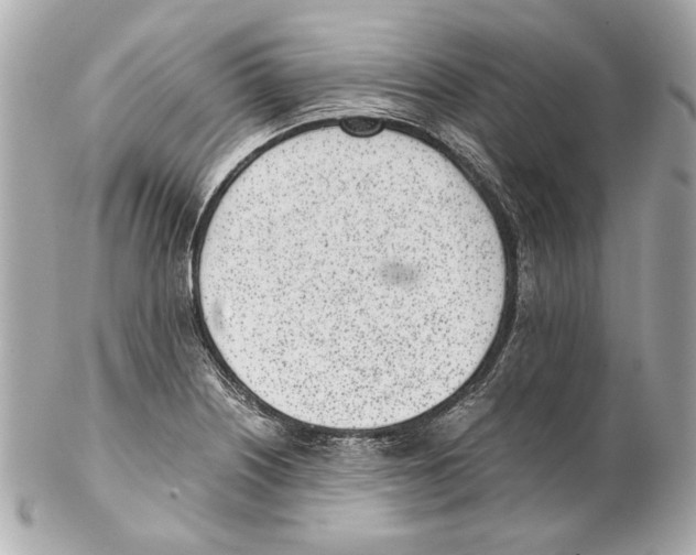 X0000102031226200808151332