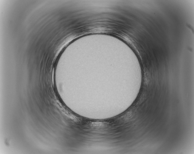 X0000102031227200808151332