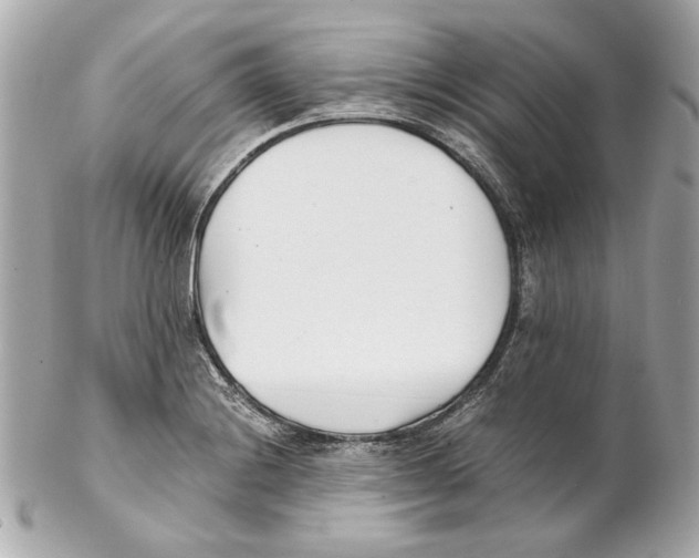 X0000102031228200808151332