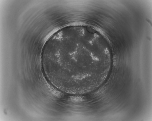 X0000102031229200808151332