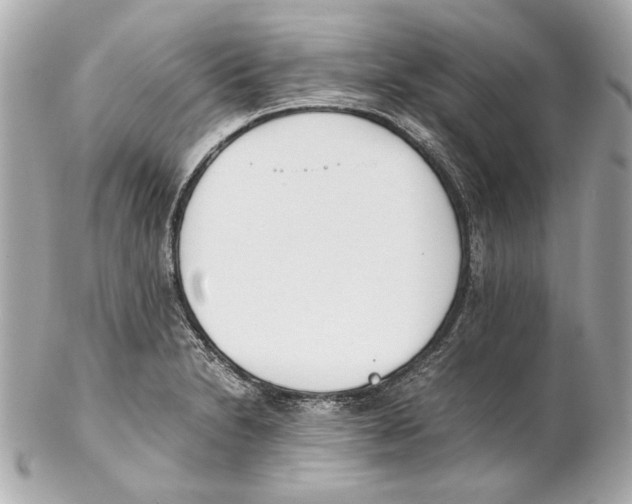 X0000102031230200808151333