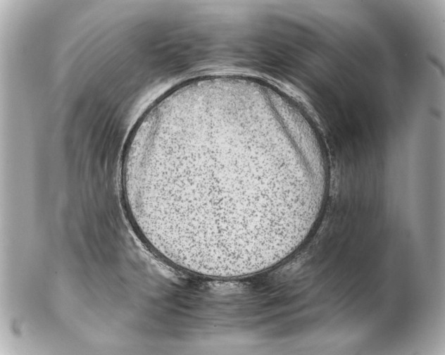 X0000102031231200808151333