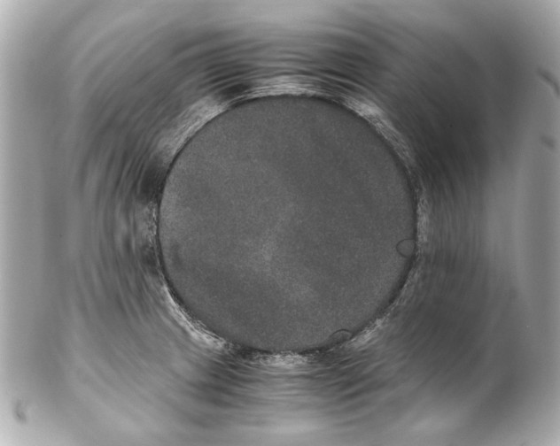 X0000102031233200808151333