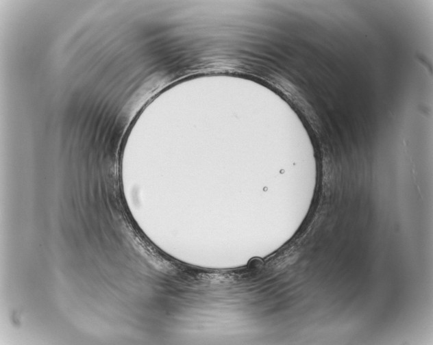 X0000102031234200808151333