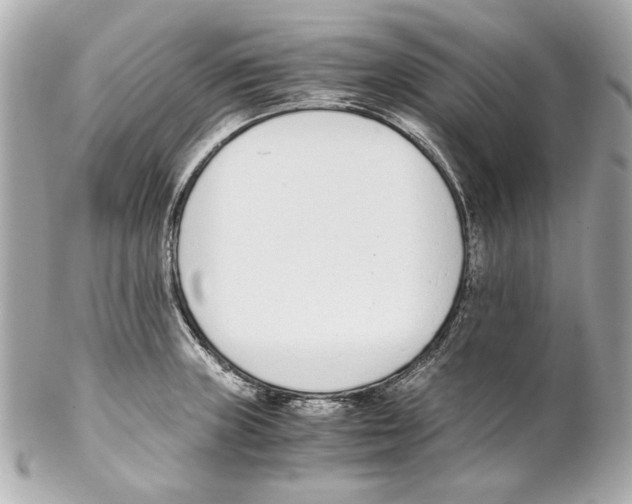 X0000102031235200808151333