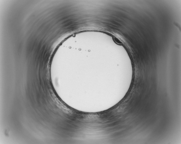 X0000102031238200808151333