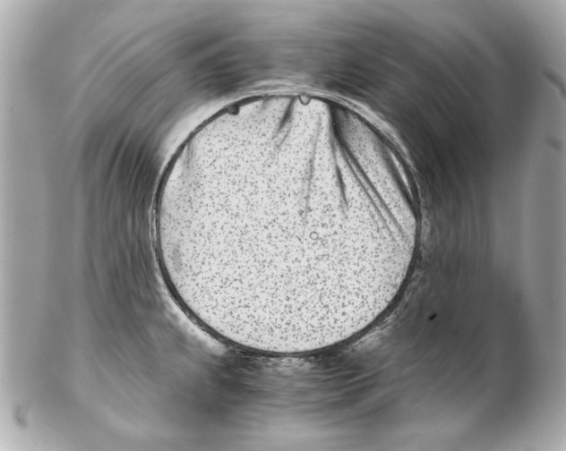 X0000102031239200808151333