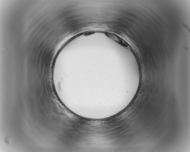 X0000102031240200808151333