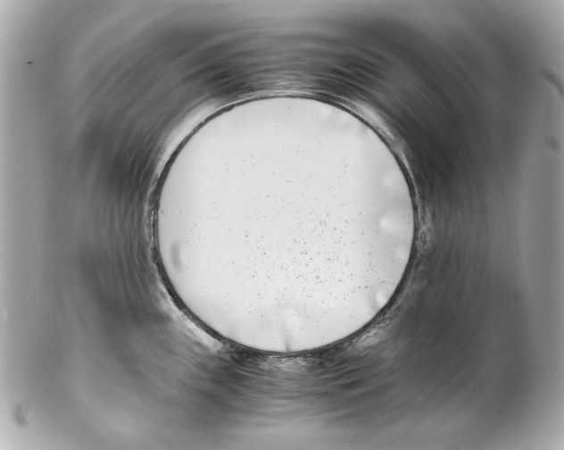 X0000102031243200808151333