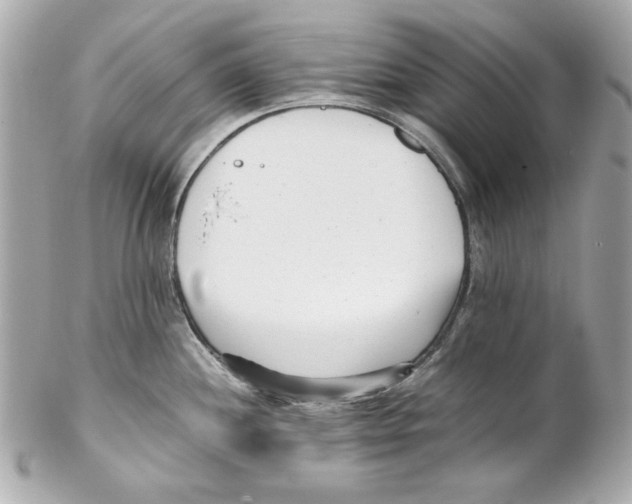 X0000102031244200808151333