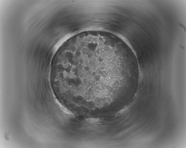 X0000102031245200808151333