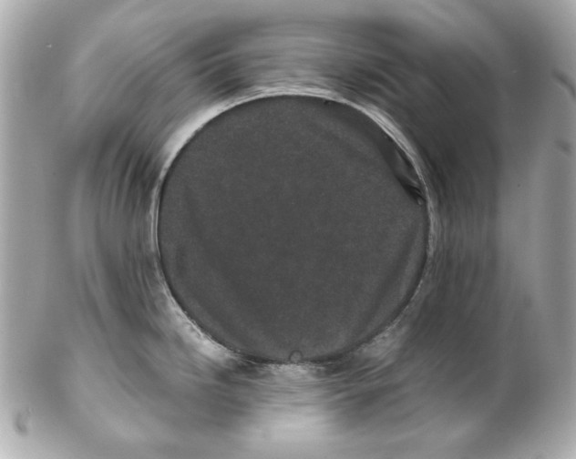 X0000102031246200808151333