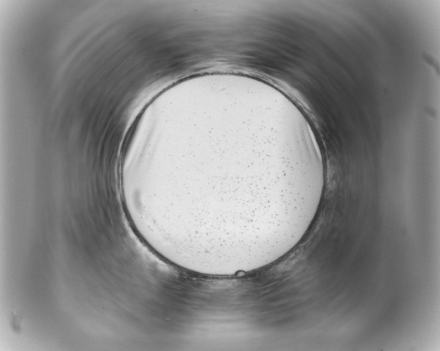 X0000102031247200808151333