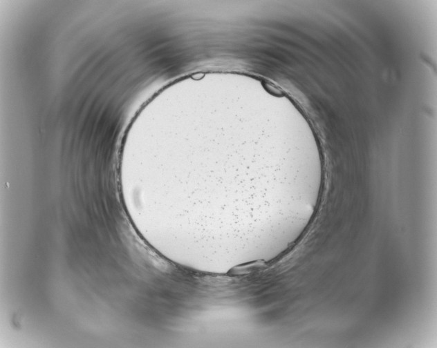 X0000102031248200808151333