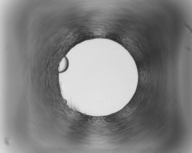 X0000102031249200808151332