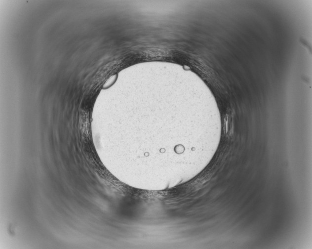 X0000102031251200808151332