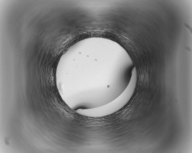 X0000102031252200808151332