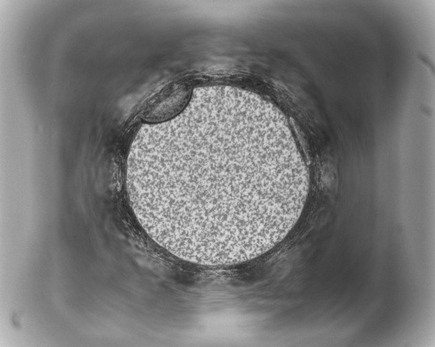 X0000102031253200808151332