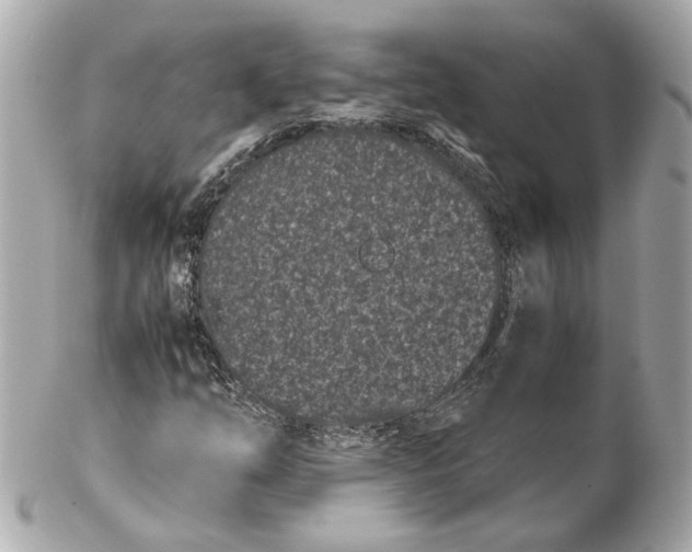 X0000102031254200808151332