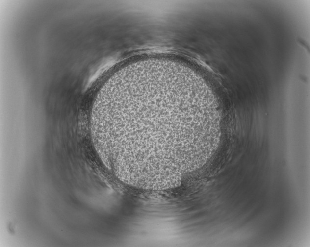 X0000102031255200808151332