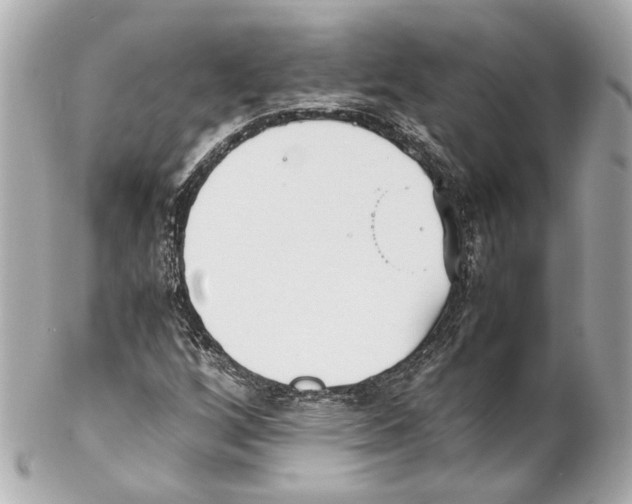 X0000102031256200808151332