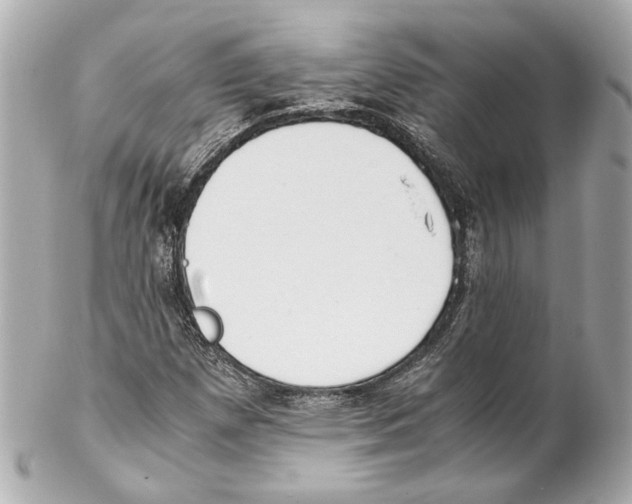 X0000102031257200808151332