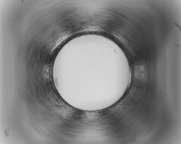 X0000102031258200808151332