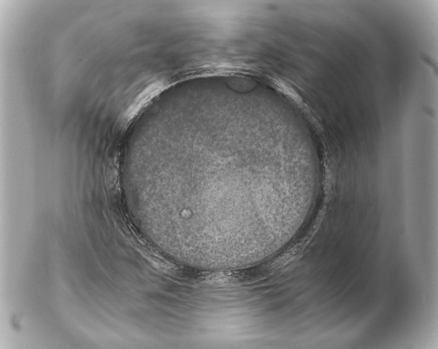 X0000102031259200808151332