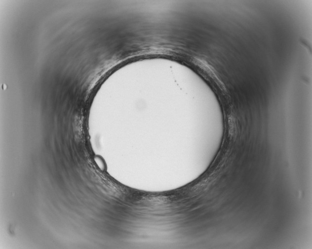 X0000102031260200808151332