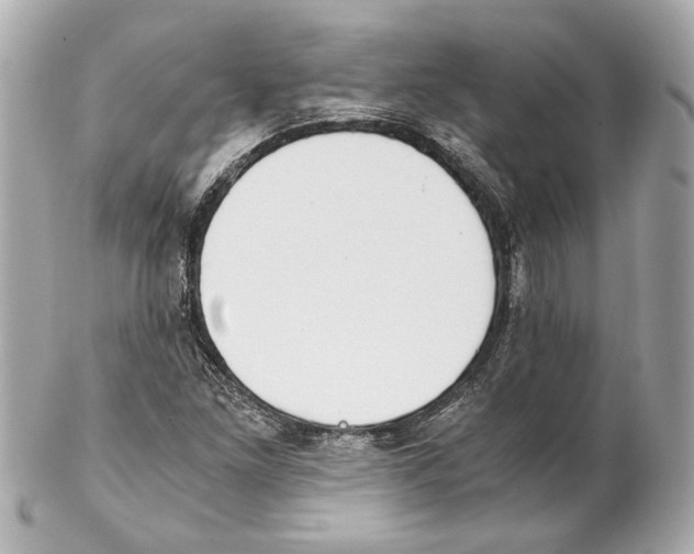 X0000102031261200808151332