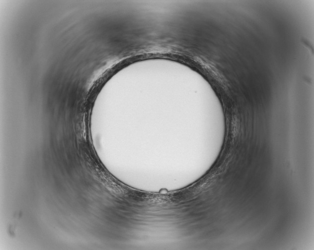 X0000102031262200808151332