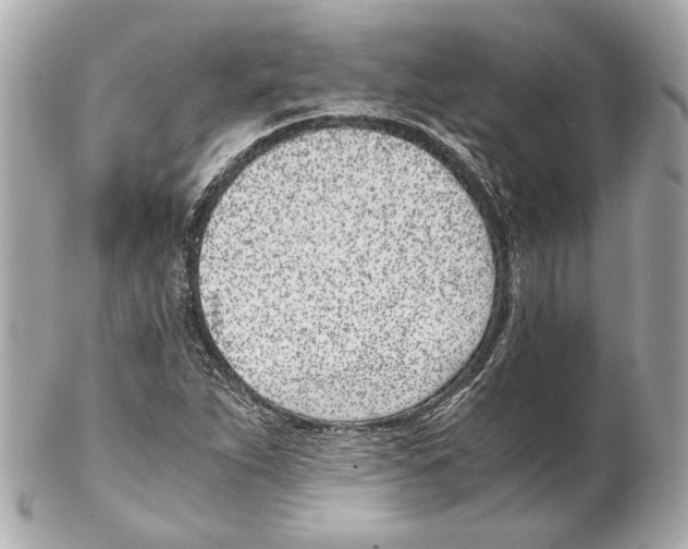 X0000102031263200808151332