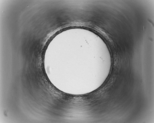 X0000102031264200808151332