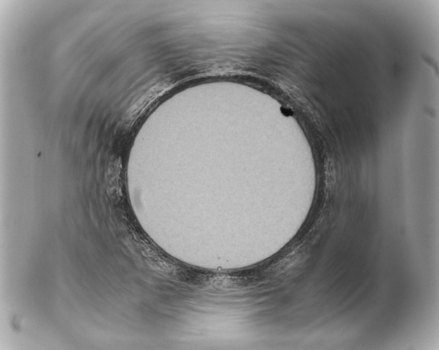 X0000102031265200808151332