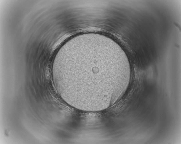 X0000102031266200808151332