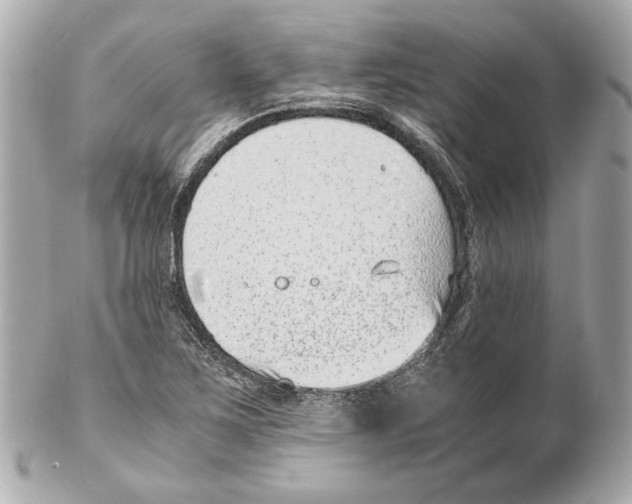 X0000102031267200808151332