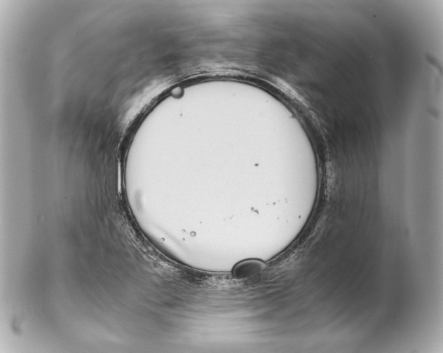 X0000102031269200808151332