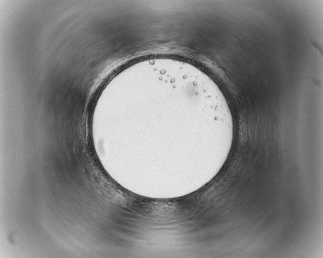 X0000102031270200808151332