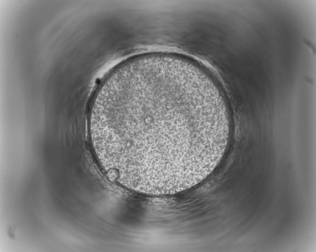 X0000102031271200808151332