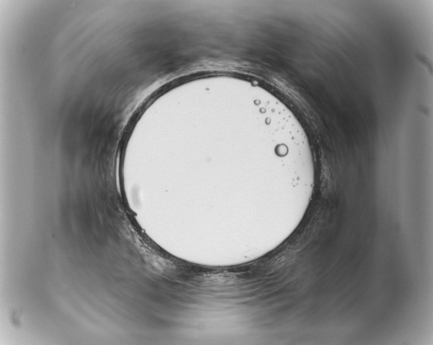 X0000102031272200808151332